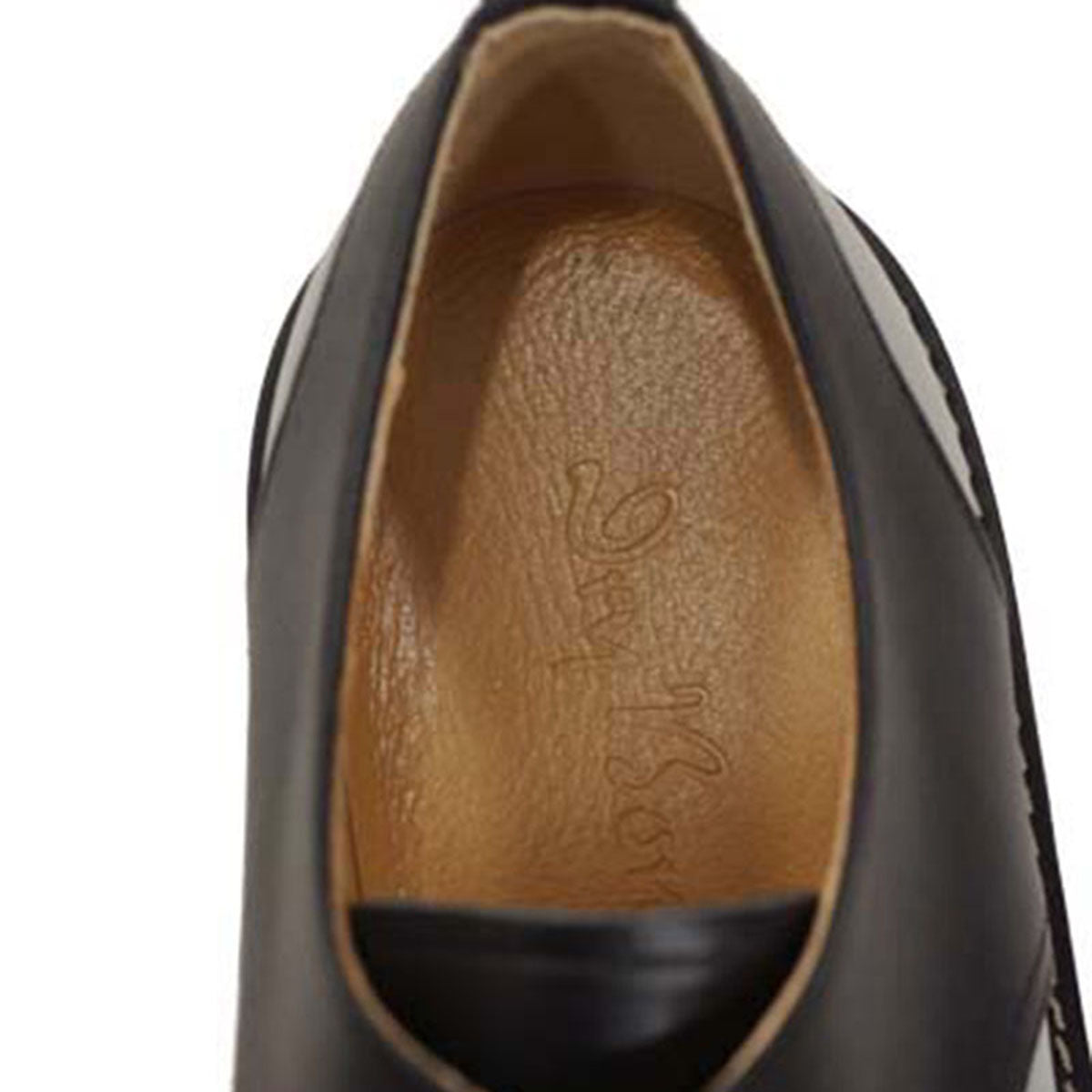 Saddle Oxford
