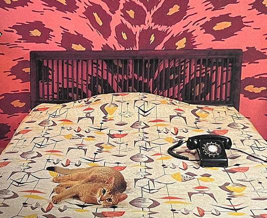 2026年穀雨の酒丸。