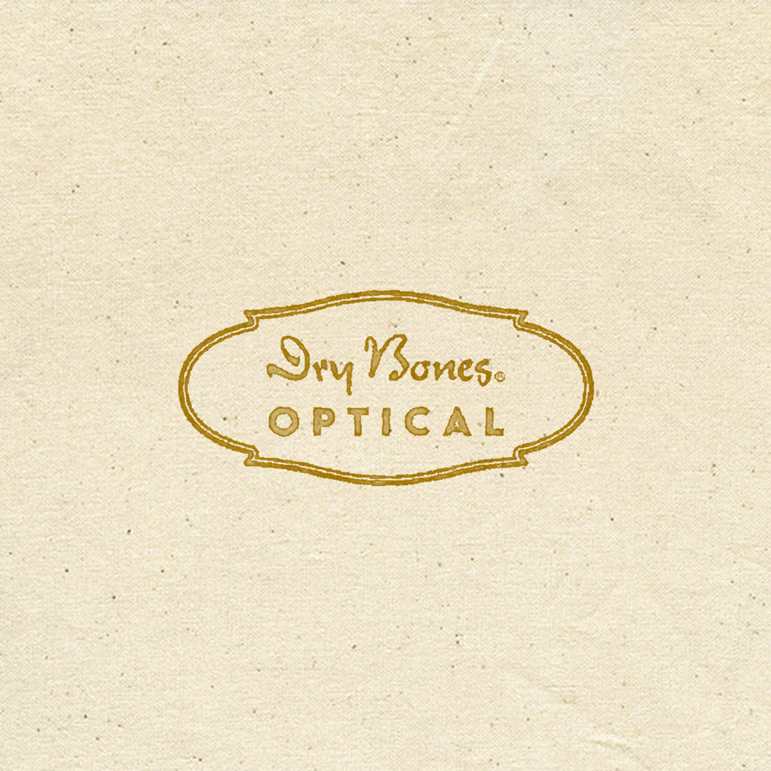 Dry Bones の提案する眼鏡