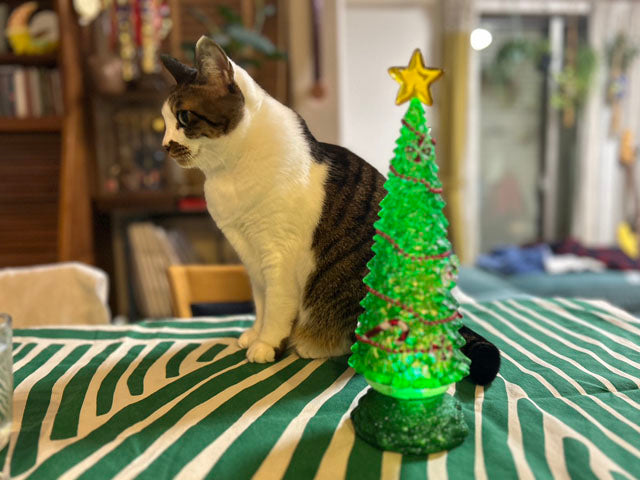 クリスマスと格好いいシャツ