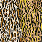 S/S 开衫衬衫 “VINCENT’S LEO”