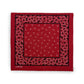Bandanna “HORSE SHOE”