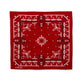 Bandanna “PIN STRIPE”