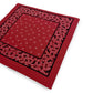 Bandanna “HORSE SHOE”
