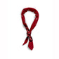 Bandanna “HORSE SHOE”