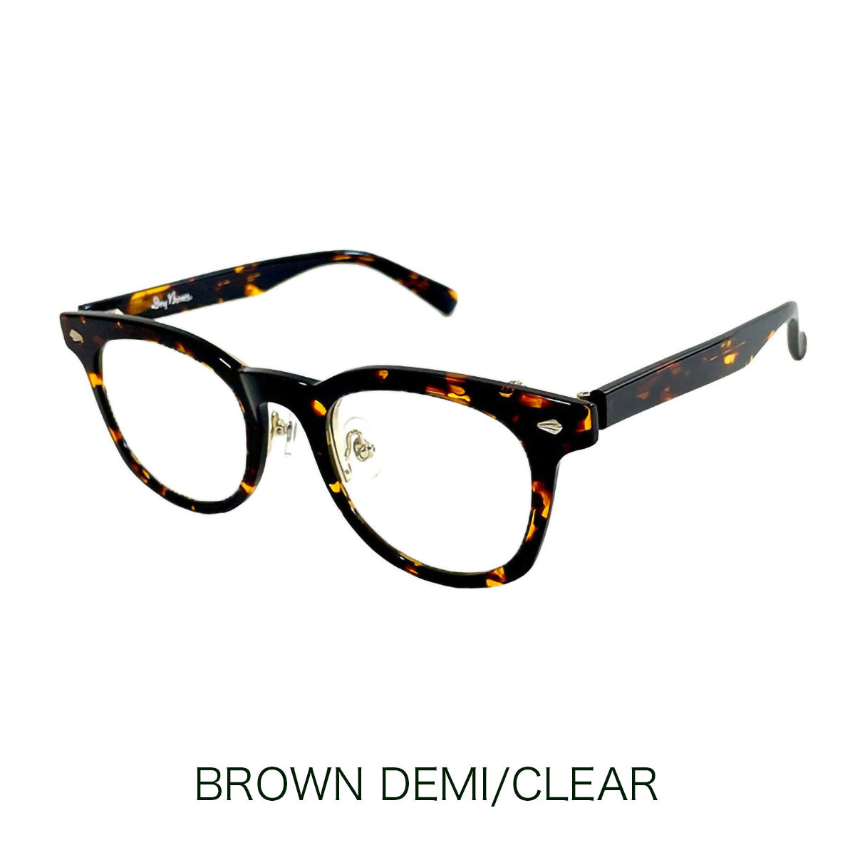Eyewear Flip-up Type (with hard case)