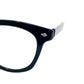 Eyewear Flip-up Type (with hard case)