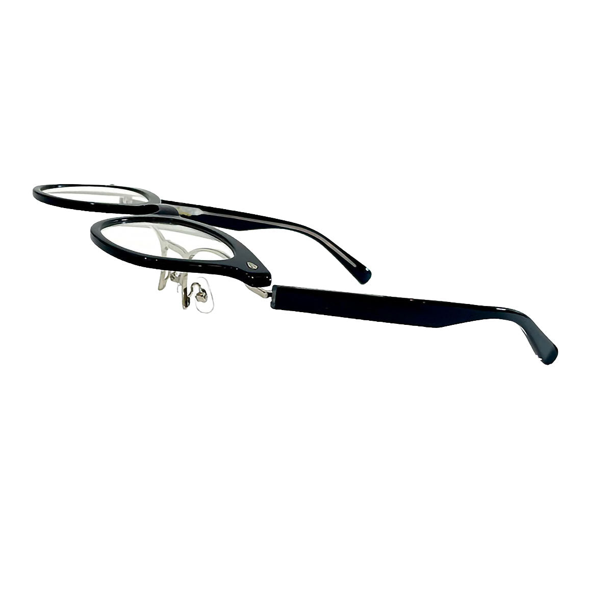 Eyewear Flip-up Type (with hard case)